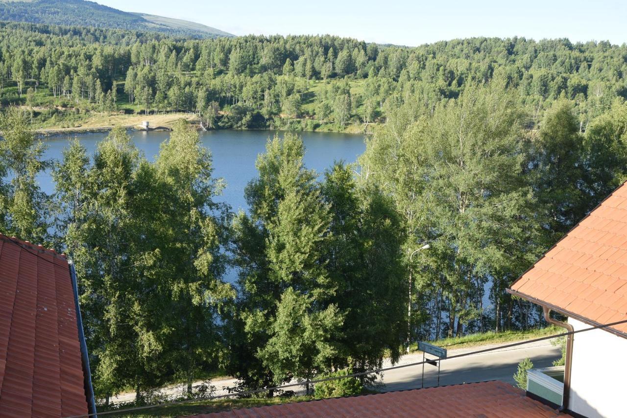 Mm Narcis Bed & Breakfast Vlasina Rid Bagian luar foto