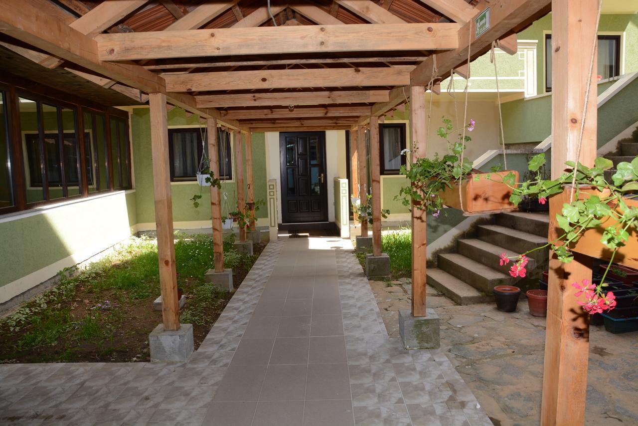 Mm Narcis Bed & Breakfast Vlasina Rid Bagian luar foto